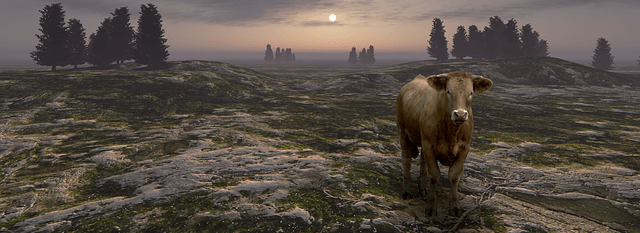 sonhar com vaca é ruim?