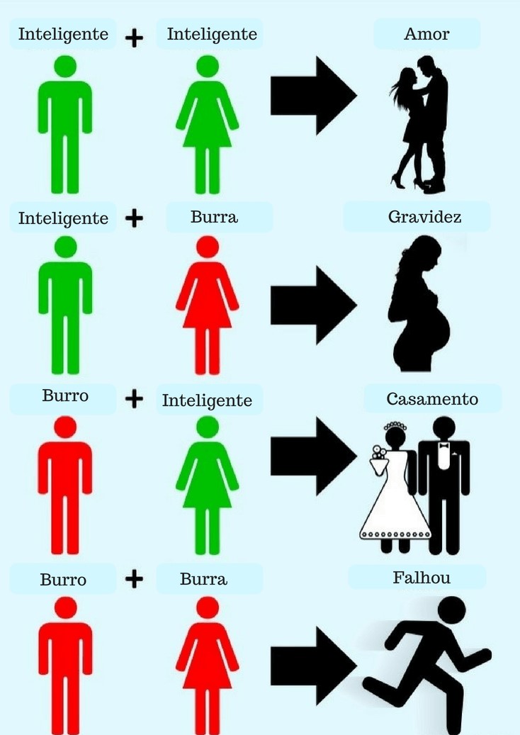 casais burros e inteligentes