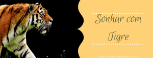 Read more about the article ▷ Sonhar com Tigre 【IMPERDÍVEL】