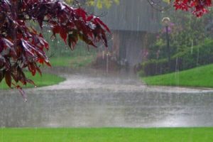 Leia mais sobre o artigo ▷ Sonhar com Chuva【IMPERDÍVEL】