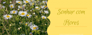 Leia mais sobre o artigo ▷ Sonhar Com Flores – Significado Espiritual