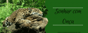 Leia mais sobre o artigo ▷ Sonhar Com Onça – IMPERDÍVEL