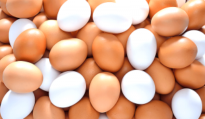 Leia mais sobre o artigo ▷ Sonhar Com Ovo é Fuxico? DESCUBRA!