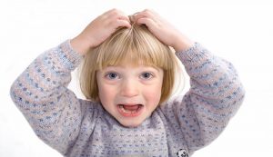 Leia mais sobre o artigo ▷ Sonhar Com Piolho É Má Sorte?