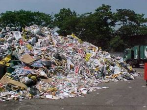 Leia mais sobre o artigo ▷ Sonhar com Lixo – Interpretações Reveladoras