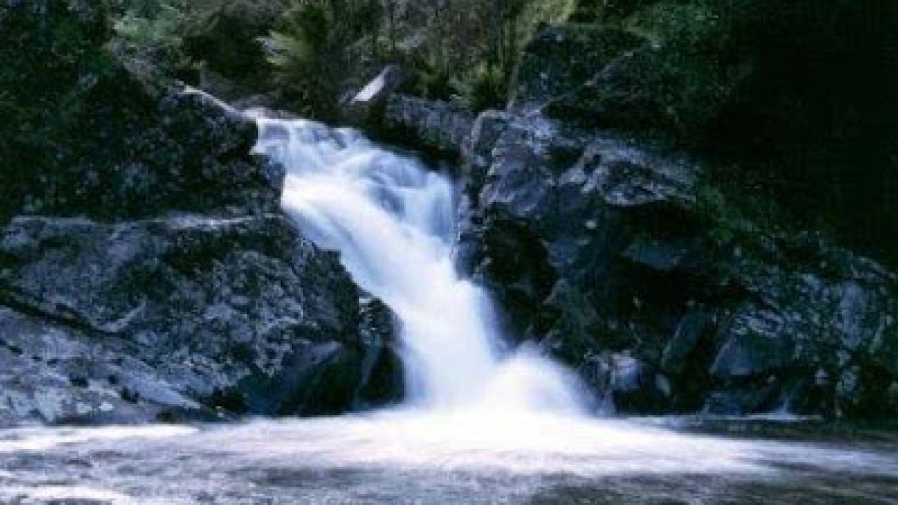 Featured image of post Sonhar Com Corrente