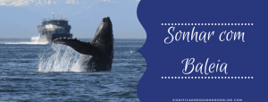 Leia mais sobre o artigo ▷ Sonhar com Baleia 【IMPERDÍVEL】