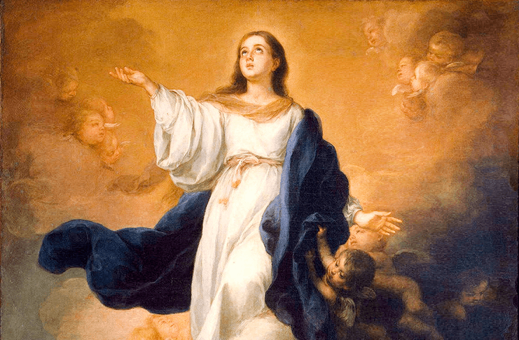 imagem da santa nossa senhora da conceição