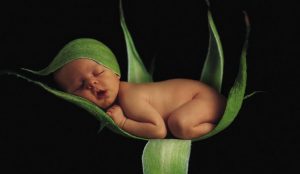 Read more about the article ▷ Sonhar Com Bebê – Revelações Inacreditáveis