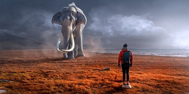 elefante atrás de mim