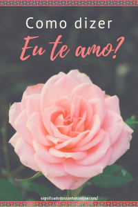 Leia mais sobre o artigo Como dizer eu te amo?