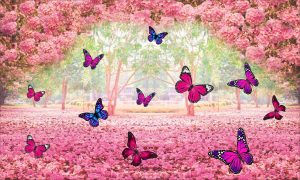 Leia mais sobre o artigo Significado de borboleta