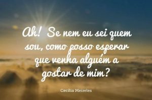Leia mais sobre o artigo 20 Melhores Frases de Cecilia Meireles