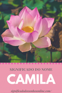 Leia mais sobre o artigo Significado do nome Camila