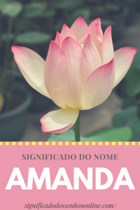 Leia mais sobre o artigo Significado do nome Amanda