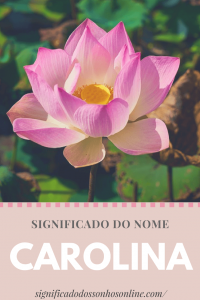 Leia mais sobre o artigo ▷ Significado do nome Carolina【Tudo sobre Carolina】