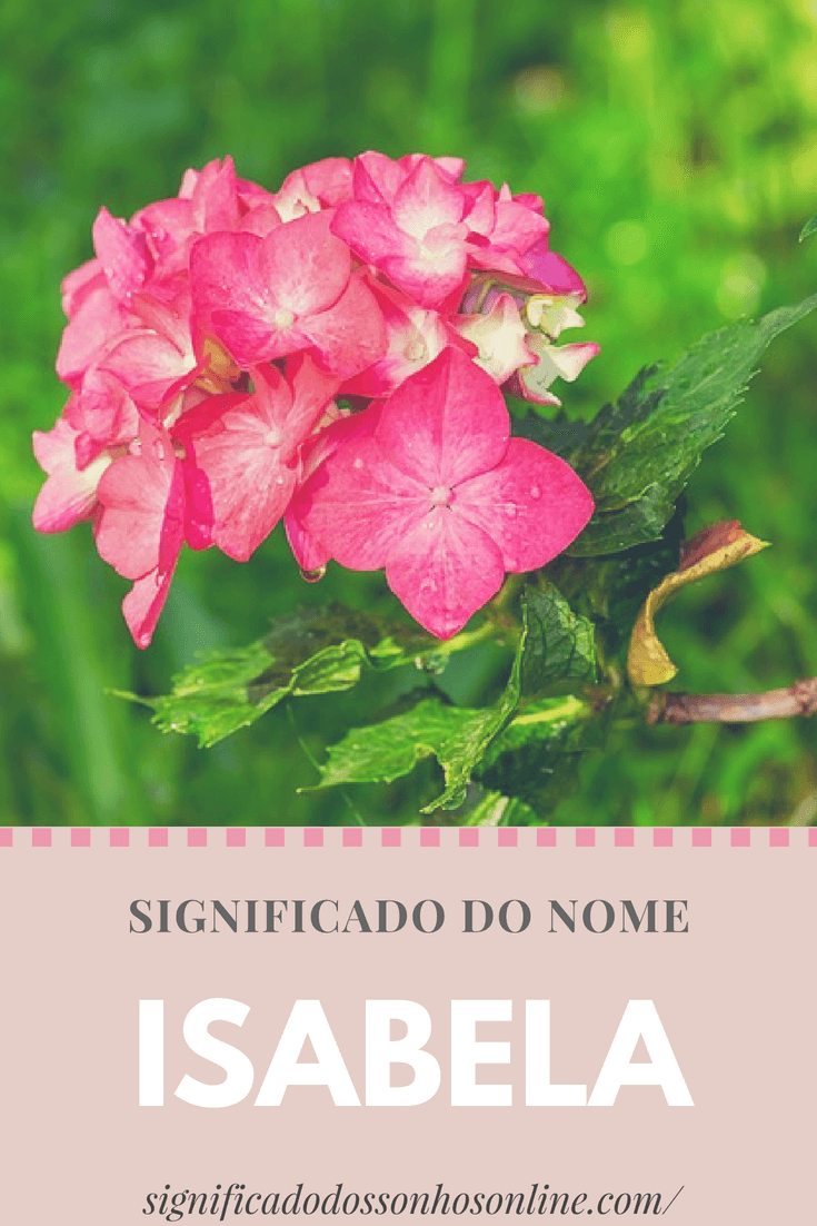 You are currently viewing Significado do nome Isabela