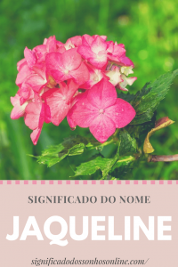 Leia mais sobre o artigo ▷ Significado do nome Jaqueline 【Tudo sobre Jaqueline】
