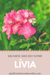 Read more about the article Significado do nome Lívia