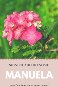 Read more about the article Significado do nome Manuela