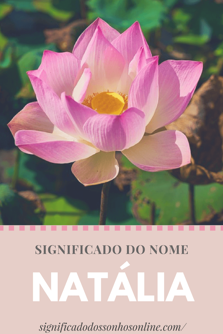 Significado do Nome Natália: Origem, Personalidade e Simbolismo