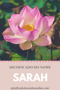 Leia mais sobre o artigo Significado do nome Sara