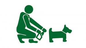 Leia mais sobre o artigo ▷ O Que Significa Sonhar Com Fezes de Cachorro? 💩