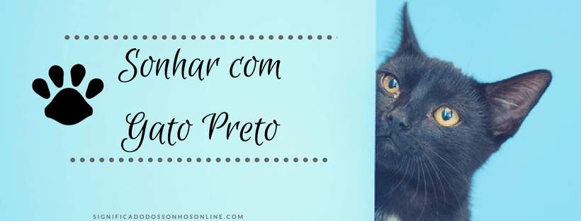 No momento, você está visualizando ▷ Sonhar Com Gato Preto – Interpretações Reveladoras