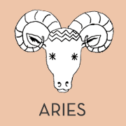 Read more about the article ▷ Signos que combinam com Áries