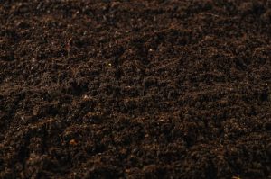 Leia mais sobre o artigo ▷ Sonhar com Terra Preta – O que Significa?