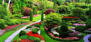 Leia mais sobre o artigo ▷ Sonhar Com Jardim Significa Sorte?