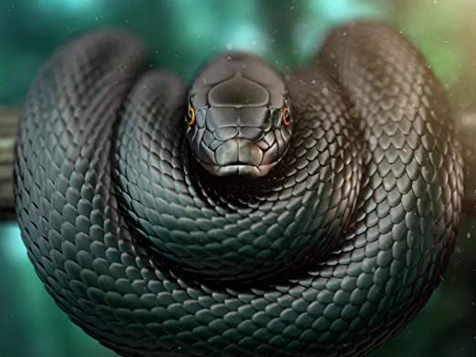 O que significa sonhar com cobra voando? Verde, amarela, coral e mais!