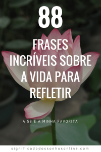 Leia mais sobre o artigo 88 Frases Incríveis Sobre a Vida Para Refletir