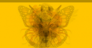 Leia mais sobre o artigo Qual Animal Você Vê Primeiro? (Veja o Que Ele Diz Sobre Sua Personalidade)