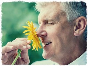 Leia mais sobre o artigo Lindas Mensagens de Agradecimento Para Expressar Toda a Sua Gratidão