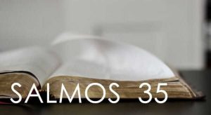 Read more about the article Salmo 35 – Para se proteger de quem lhe deseja o mal