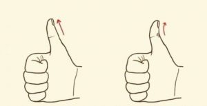 Leia mais sobre o artigo Como é o Seu Polegar? Descubra o Que Seu Polegar Diz Sobre Você