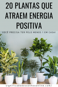 Leia mais sobre o artigo 20 Plantas Que Atraem Energia Positiva – Você Precisa Ter Pelo Menos 1 Em Casa!