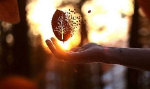 Leia mais sobre o artigo Frases Que Devem Ser Evitadas Se Você Quer Conseguir o Que Deseja