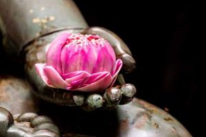 Leia mais sobre o artigo 6 Ensinamentos Budistas Sobre o Conceito De Amar