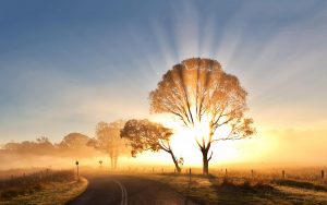 Leia mais sobre o artigo 9 Maneiras Poderosas De Aproveitar a Energia Positiva Em Sua Vida