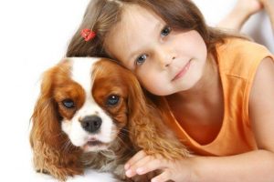 Leia mais sobre o artigo A Ciência Mostra Que Os Cães Podem Detectar Uma Pessoa Ruim