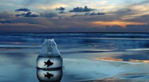 Leia mais sobre o artigo 9 Sinais De Que Você Está Sabotando a Riqueza e Atraindo a Pobreza Para Sua Vida