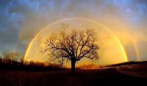 Leia mais sobre o artigo Se a Sua Prosperidade Estiver Bloqueada, Leia Isto!