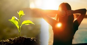 Leia mais sobre o artigo Leia Esta História Que Vai Te Ensinar a Confiar No Que a Vida Tem Para Você