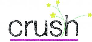 Leia mais sobre o artigo As Melhores Indiretas Para o Crush