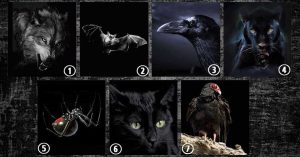 Leia mais sobre o artigo Qual Animal Você Escolhe? Esse Teste Mental Revela o Lado Oculto De Cada Pessoa