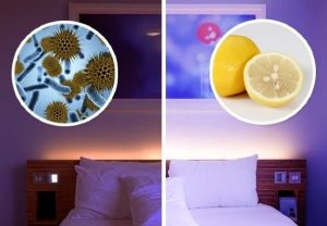 Leia mais sobre o artigo Colocar Um Limão Em Seu Quarto Pode Salvar Sua Vida! Veja o Porquê