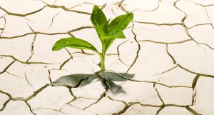 Leia mais sobre o artigo 20 Frases Que Ensinam a Nunca Desistir De Lutar