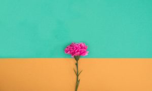 Leia mais sobre o artigo 6 Hábitos De Gratidão Que Vão Transformar Sua Vida